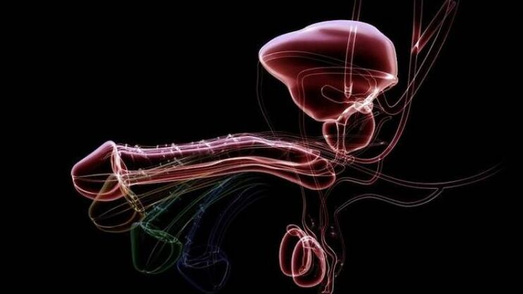 为什么男人一兴奋就会有分泌物，正常吗